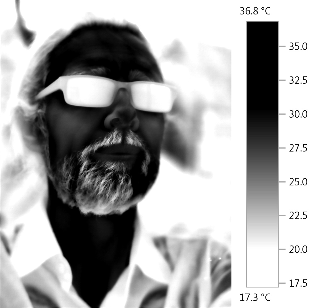 Thermographic infrared image (thermogram) exploring anthropogenic global warming. Artist: Adam Sébire.