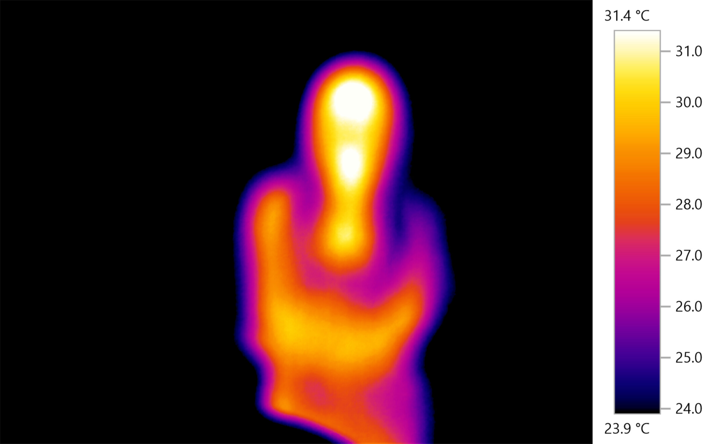 Thermographic Image by Adam Sébire