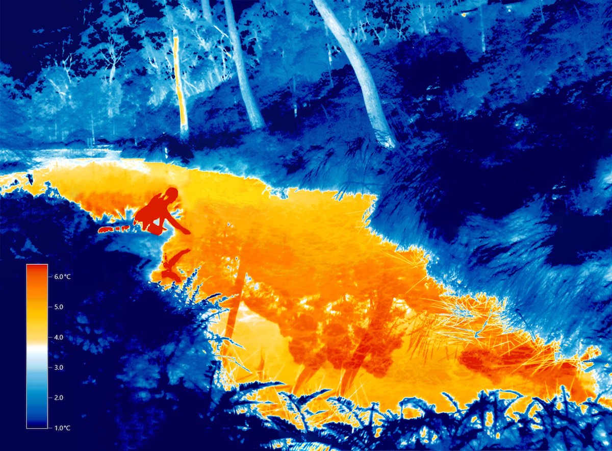 Narcissus by the Reflecting Pool (Infrared Image 00662-5) (2015)  Australian artist Adam Sébire uses an infrared thermographic imager loaned from climate scientists. Whilst they use it to measure heat, Adam's PhD research explores visual representation of climate change and the Anthropocene.