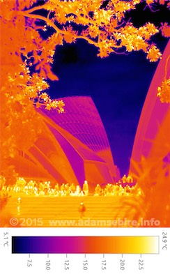 Adam+Sebire+774+Thermal+Imaging+Art.jpg